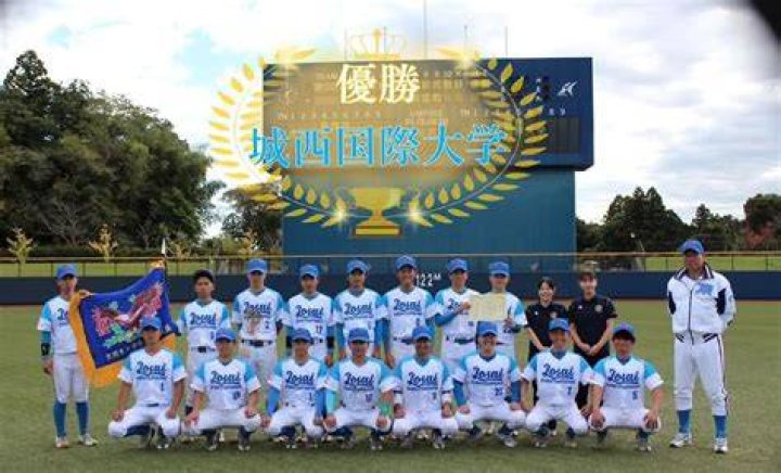 東 関東 大学 軟式 野球 連盟